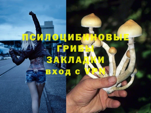 apvp Липки