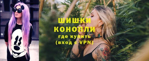 индика Лагань