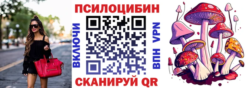 где купить наркотик Южно-Сухокумск Псилоцибиновые грибы Magic Shrooms